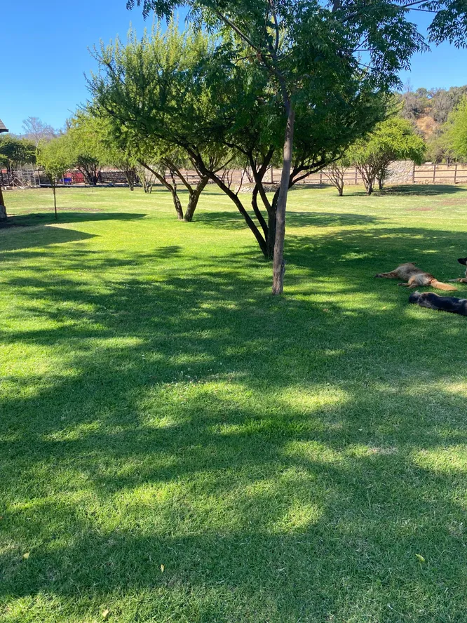 Retiro Corporativo Premium